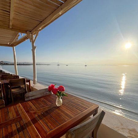 Hotel Lido Beach Hyères Eksteriør billede